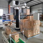 High Capacity Palletizing Robot for 4-5 Axis Articulated Robot Up To 800 Bags Per Hour